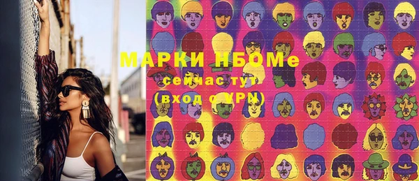 Альфа ПВП Ельня