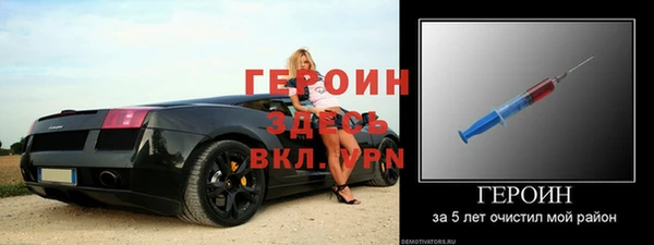 трава Ельня