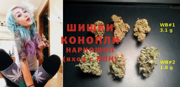 Альфа ПВП Елабуга
