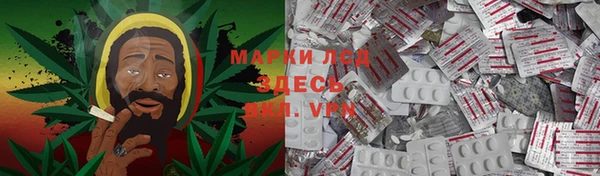 трава Ельня