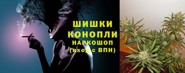трава Ельня