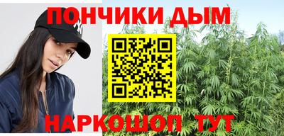 спиды Дубна